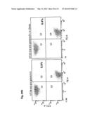Bispecific Anti ErbB3 / Anti cMet Antibodies diagram and image