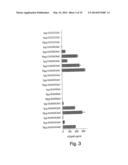 IMMUNOSTIMULATORY G, U-CONTAINING OLIGORIBONUCLEOTIDES diagram and image