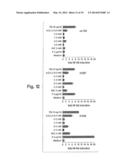 IMMUNOSTIMULATORY G, U-CONTAINING OLIGORIBONUCLEOTIDES diagram and image