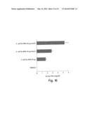 IMMUNOSTIMULATORY G, U-CONTAINING OLIGORIBONUCLEOTIDES diagram and image