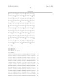 BRACHYURY POLYPEPTIDES AND METHODS FOR USE diagram and image