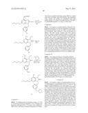 MODULATORS OF TOLL-LIKE RECEPTOR 7 diagram and image