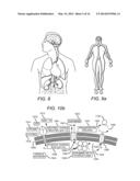 Enhancement of Biological Functioning by the Use of Electromagnetic and     Magnetic Fields diagram and image