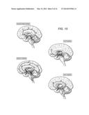 Enhancement of Biological Functioning by the Use of Electromagnetic and     Magnetic Fields diagram and image