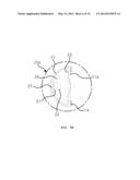 APPARATUS FOR RELAXING SMOOTH MUSCLES OF HUMAN BODY diagram and image