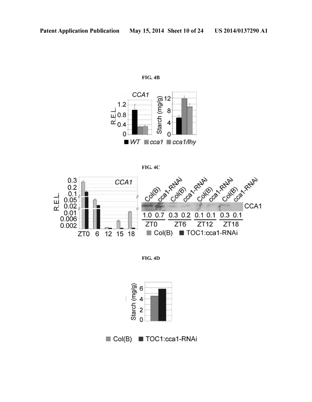 MOLECULAR CLOCK MECHANISM OF HYBRID VIGOR - diagram, schematic, and image 11