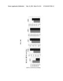 MOLECULAR CLOCK MECHANISM OF HYBRID VIGOR diagram and image