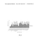 CITRUS TREES WITH RESISTANCE TO CITRUS CANKER diagram and image