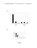 MODULATION OF SOLANACEAE FRUIT RIPENING diagram and image