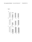 EXPRESSION CONSTRUCT AND PROCESS FOR ENHANCING THE CARBON, NITROGEN,     BIOMASS AND YIELD OF PLANTS diagram and image