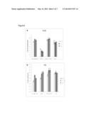 EXPRESSION CONSTRUCT AND PROCESS FOR ENHANCING THE CARBON, NITROGEN,     BIOMASS AND YIELD OF PLANTS diagram and image