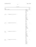 EXPRESSION CONSTRUCT AND PROCESS FOR ENHANCING THE CARBON, NITROGEN,     BIOMASS AND YIELD OF PLANTS diagram and image