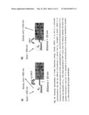 LIQUID CRYSTAL DYE MIXTURE diagram and image