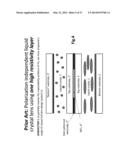 CAPACITIVELY COUPLED ELECTRIC FIELD CONTROL DEVICE diagram and image