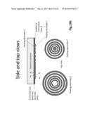 CAPACITIVELY COUPLED ELECTRIC FIELD CONTROL DEVICE diagram and image