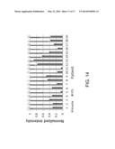 METHODS AND  SYSTEMS FOR THREE-DIMENSIONAL REAL-TIME INTRAOPERATIVE     SURGICAL MARGIN EVALUATION OF TUMOR TISSUES diagram and image