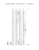 Humanized L243 Antibodies diagram and image