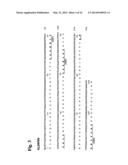 Humanized L243 Antibodies diagram and image