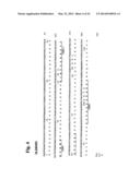 Humanized L243 Antibodies diagram and image