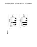 Humanized L243 Antibodies diagram and image