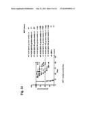 Humanized L243 Antibodies diagram and image