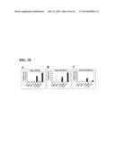 Humanized L243 Antibodies diagram and image