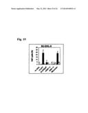 Humanized L243 Antibodies diagram and image