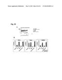 Humanized L243 Antibodies diagram and image