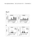 Humanized L243 Antibodies diagram and image