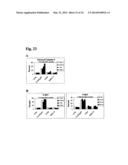 Humanized L243 Antibodies diagram and image