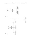 Energy Absorbing-Based Diagnostic and Therapeutic Methods Employing     Nucleic Acid Molecules Encoding Chromophore-Producing Enzymes diagram and image