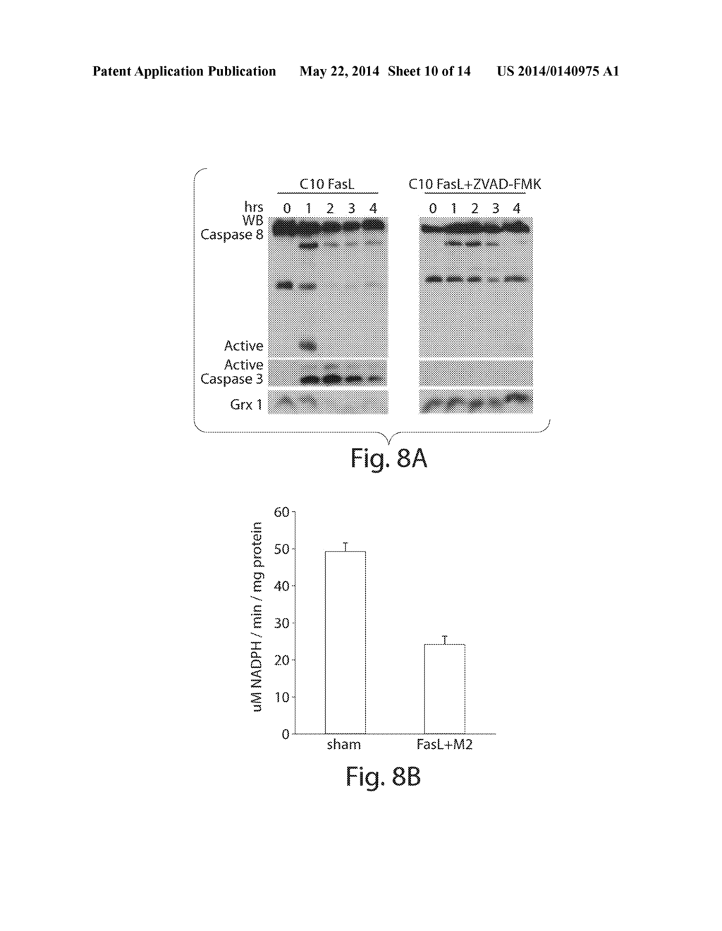 TREATMENTS INVOLVING GLUTAREDOXINS AND SIMILAR AGENTS - diagram, schematic, and image 11