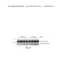TREATMENTS INVOLVING GLUTAREDOXINS AND SIMILAR AGENTS diagram and image