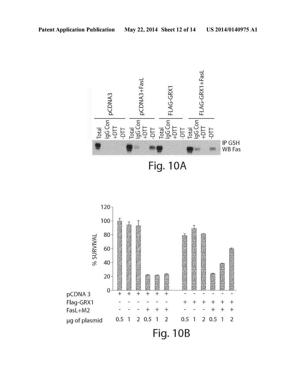 TREATMENTS INVOLVING GLUTAREDOXINS AND SIMILAR AGENTS - diagram, schematic, and image 13