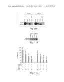 TREATMENTS INVOLVING GLUTAREDOXINS AND SIMILAR AGENTS diagram and image