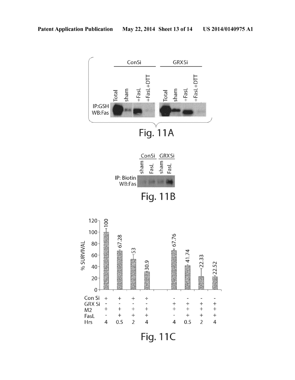 TREATMENTS INVOLVING GLUTAREDOXINS AND SIMILAR AGENTS - diagram, schematic, and image 14