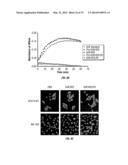 SERINE PROTEASE MOLECULES AND THERAPIES diagram and image