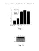 Methods and Kits for Assessing Heparanase Procoagulant Activity,     Compositions Comprising Heparanase, and Methods for the Treatment of     Coagulation Related Disorders diagram and image