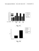 Methods and Kits for Assessing Heparanase Procoagulant Activity,     Compositions Comprising Heparanase, and Methods for the Treatment of     Coagulation Related Disorders diagram and image