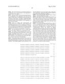 POLYPEPTIDES ISOLATED FROM BREVIBACTERIUM AURANTIACUM AND THEIR USE FOR     THE TREATMENT OF CANCER diagram and image