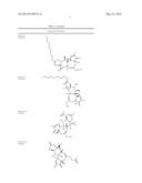 Compositions And Methods Of Use of Phorbol Esters For Treatment of Stroke diagram and image