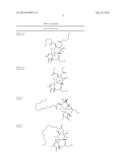 Compositions And Methods Of Use of Phorbol Esters For Treatment of Stroke diagram and image