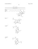 Compositions And Methods Of Use of Phorbol Esters For Treatment of Stroke diagram and image