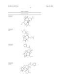 Compositions And Methods Of Use of Phorbol Esters For Treatment of Stroke diagram and image