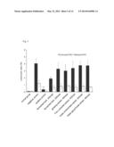 COMPOSITION COMPRISING HERBAL EXTRACTS OR FERMENTED PRODUCTS THEREOF     HAVING LACTIC ACID BACTERIA FOR PREVENTING OR TREATING RESPIRATORY     DISEASES diagram and image