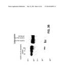 COMPOSITIONS AND METHODS OF TREATING DISEASE WITH FGFR FUSION PROTEINS diagram and image