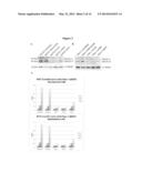 QSOX1 as an Anti-Neoplastic Drug Target diagram and image