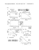 PEPTIDE VACCINES FOR CANCERS EXPRESSING TUMOR-ASSOCIATED ANTIGENS diagram and image