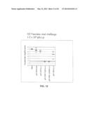 In Vivo Activation of Antigen Presenting Cells for Enhancement of Immune     Responses Induced by Virus Like Particles diagram and image