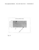 In Vivo Activation of Antigen Presenting Cells for Enhancement of Immune     Responses Induced by Virus Like Particles diagram and image